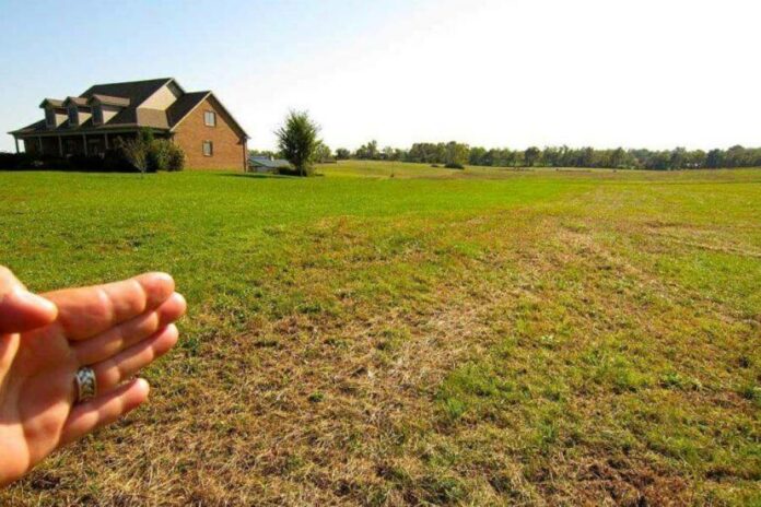 Как правильно покупать земельный участок для строительства своего дома