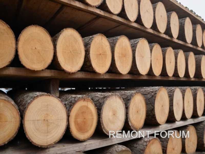 Сравнение лиственных и хвойных пород для оконных рам