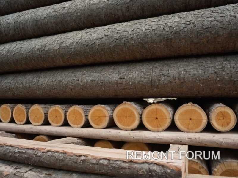 Лиственница