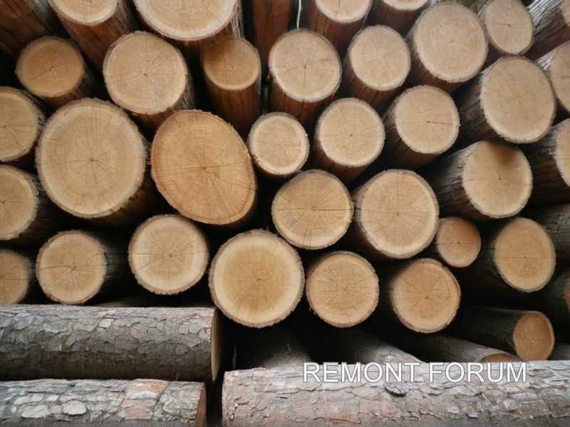 Как подобрать антисептик в зависимости от породы древесины