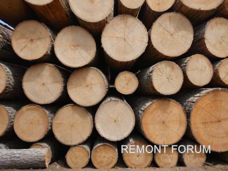 Техники резьбы по дереву для новичков и профессионалов