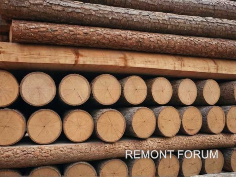 Выбор древесины для ящика: что лучше для хранения на чердаке