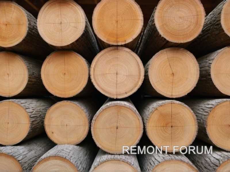 Устойчивость термообработанной древесины к воздействию влаги и грибков