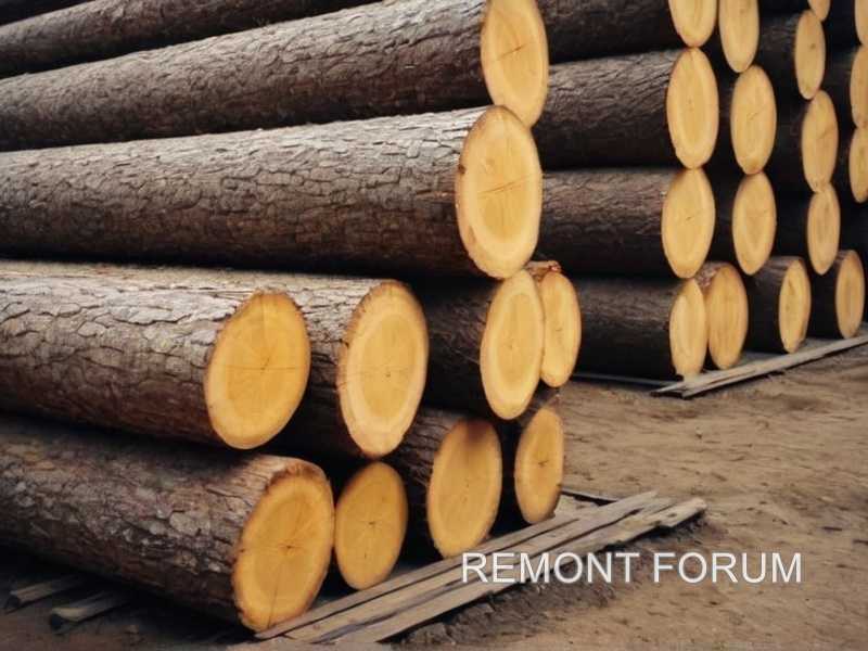 Практические рекомендации по выбору